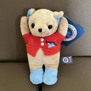 A teddy bear
